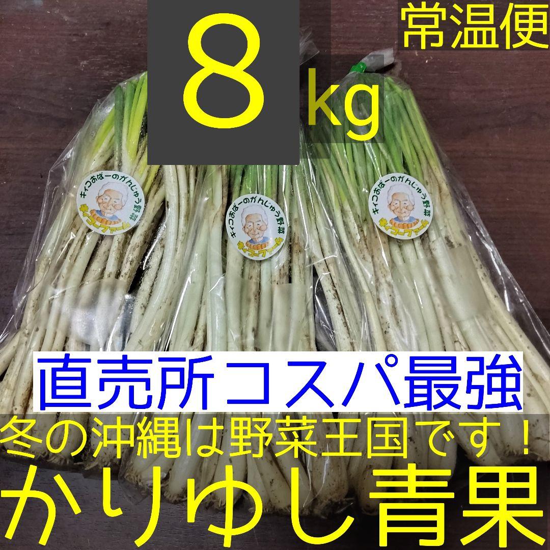 〈直売所コスパ最強〉沖縄県産Ｋおばーの島らっきょう 約８kg【常温便】④