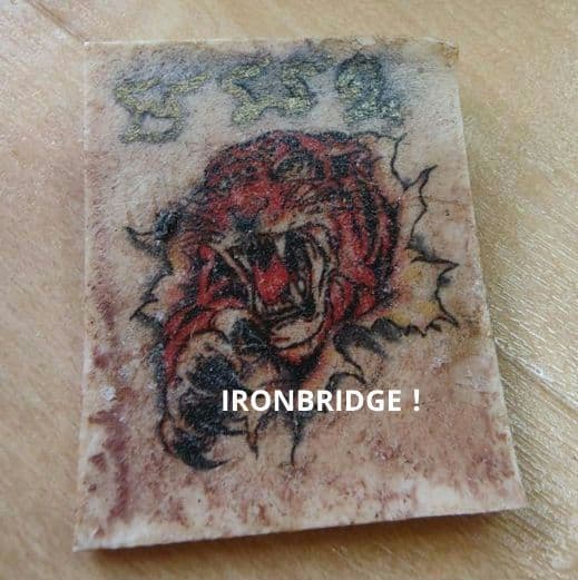 タイのお守りプラクルアン！トラ・トラ・トラ！勇気&元気！＼(^o^)／