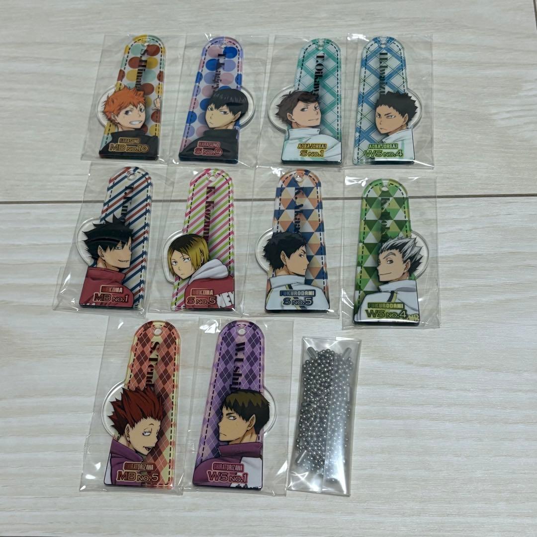 ハイキュー!! 振り向き　ＩＲＯＤＯＲＩ　アクリルキーホルダー