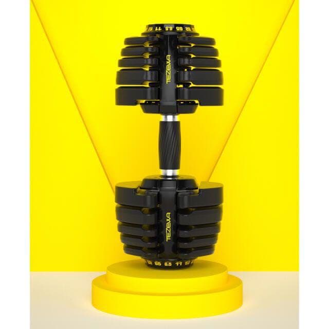 コア調整式ダンベル65LB（約29.5kgX2個セット）新デザイン