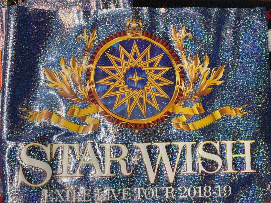 EXILE　ツアーグッズ　ファンクラブ特典　Tシャツタオルハタ