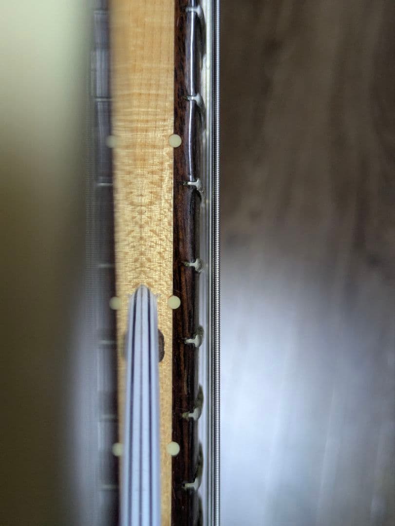 Psychederhythm  STANDARD-T サイケデリズム ギター