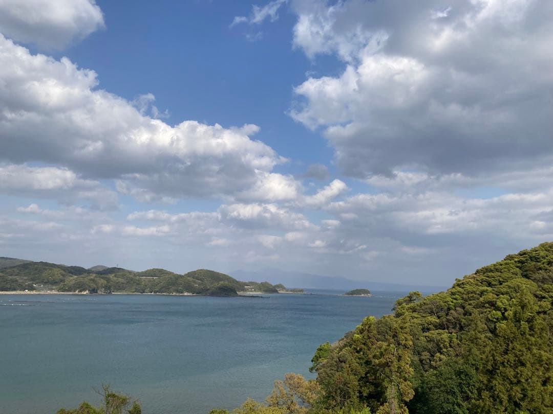 hanamei 　ニホンミツバチ生ハチミツ　蜂蜜　日本蜜蜂　1120g