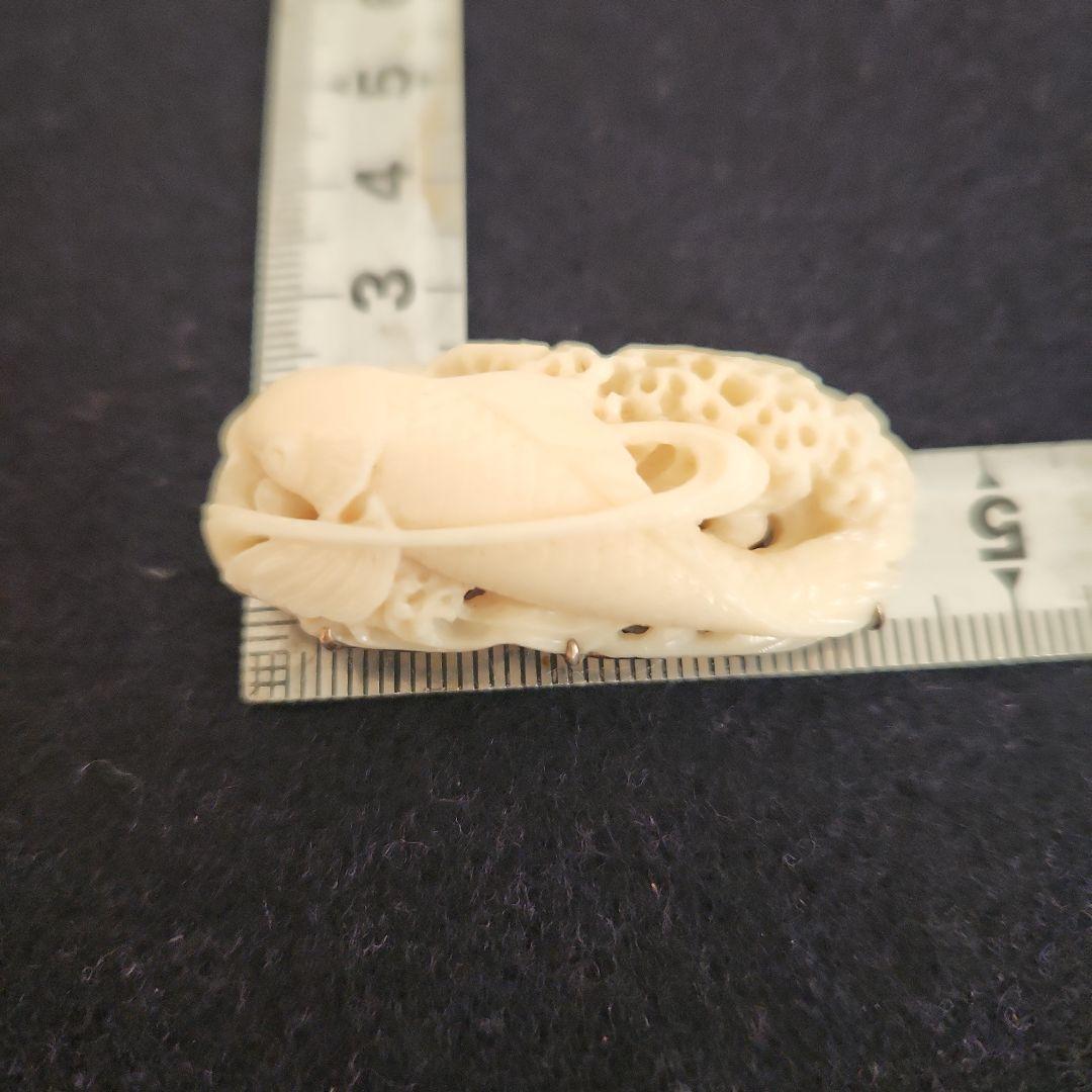 a*i様 帯留め‥白珊瑚