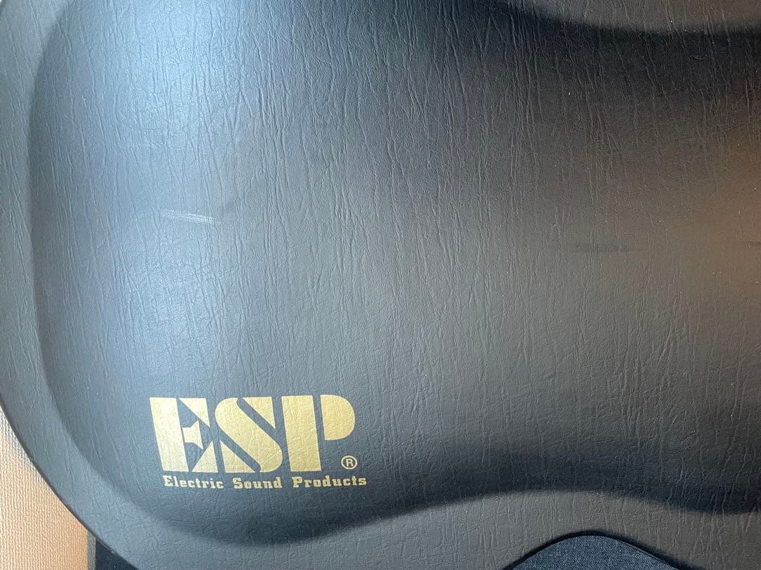 Edwars ESP E-SA-125LTS エドワーズ ES-335