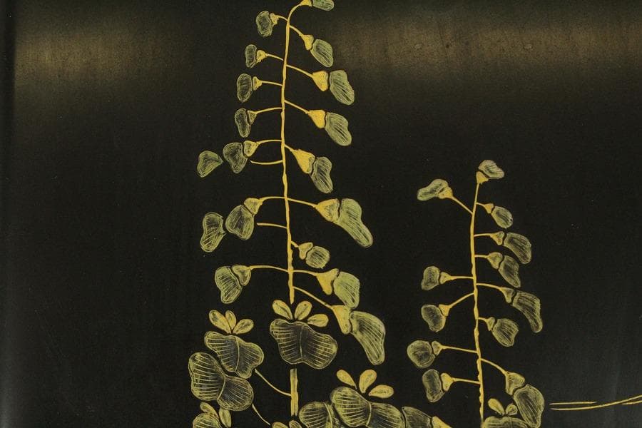 輪島塗 硯箱 藤沈金 共箱(ZE708)