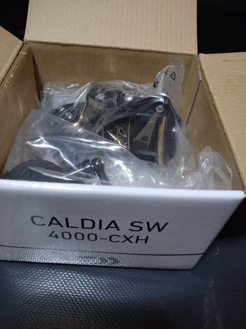 Daiwa CALDIA SW 4000-CXH スピニングリール