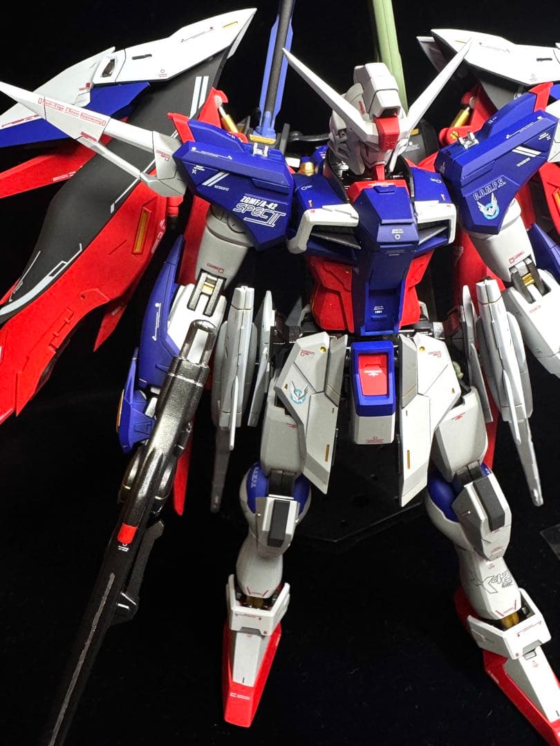 ゆ*】様 【ミキシング全塗装】MG デスティニーガンダム SpecⅡ