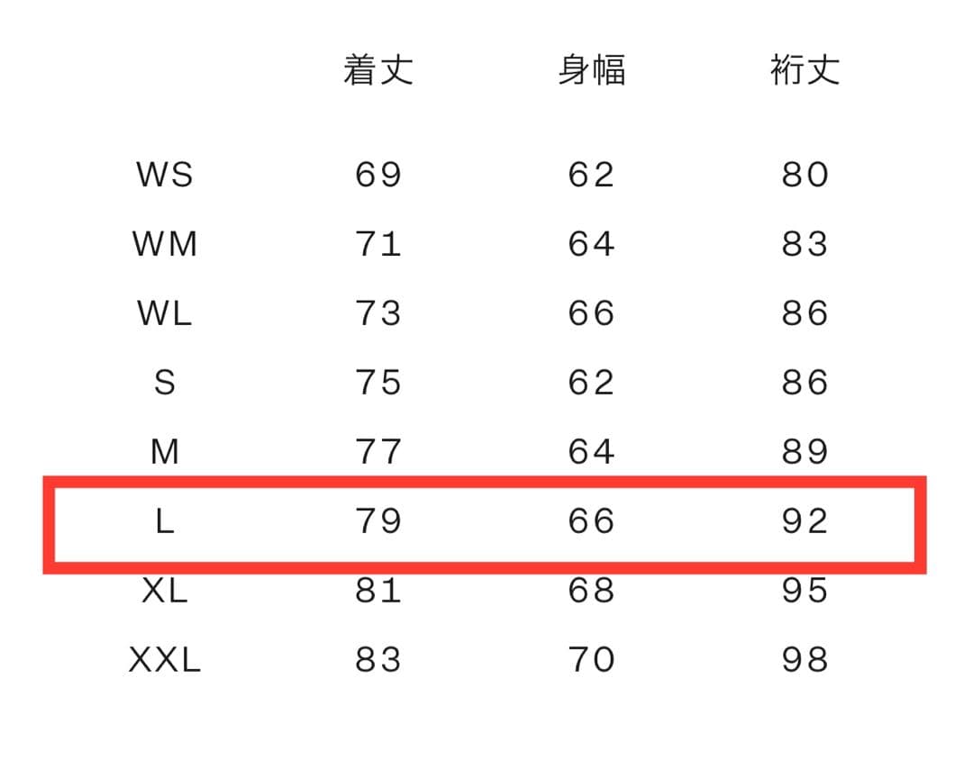 Lサイズ 新品 タグ付き MG ノースフェイス レイバック ビーシージャケット
