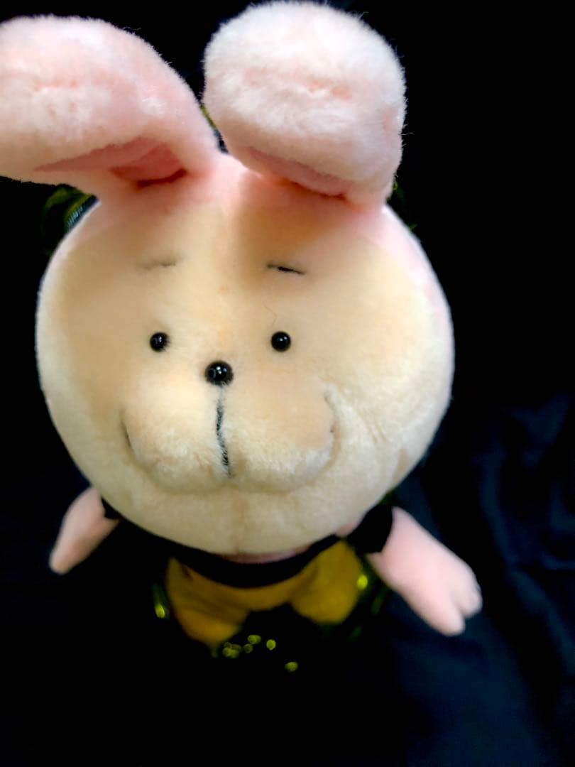 【新品入荷♪激レア！】20471120 うさぎHyoma soft toys♪