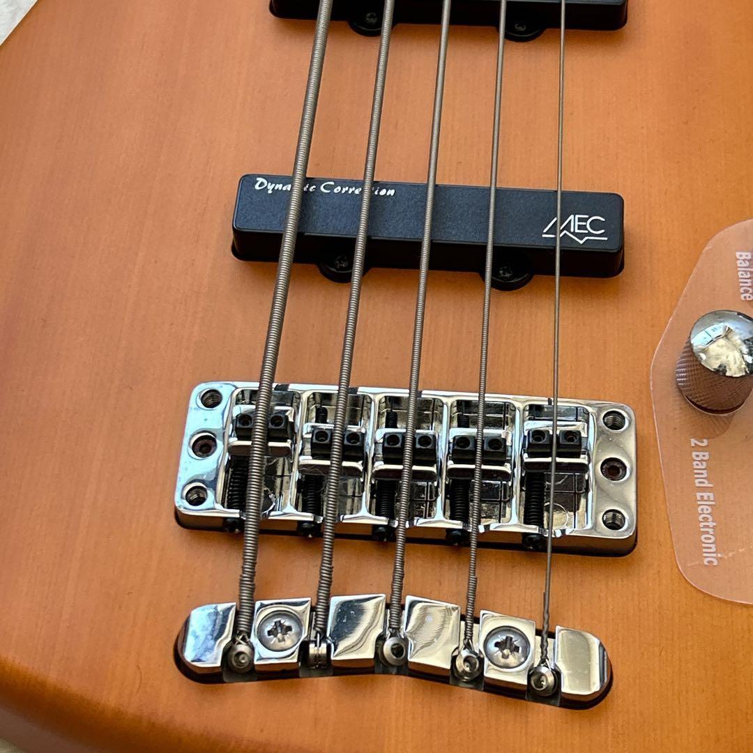 Warwick Rock Bass Streamer 5弦 ベース ワーウィック