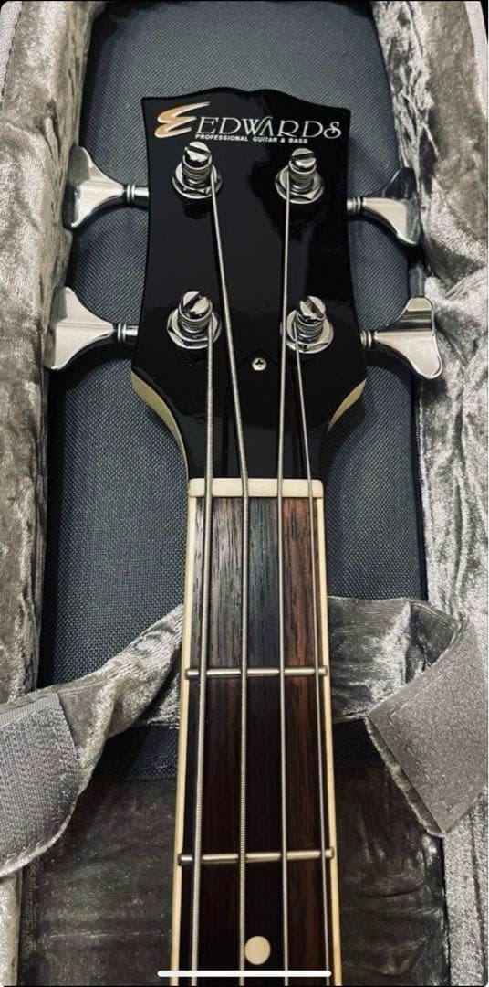 ケ*プ様 EDWARDS ESP SG エドワーズ LUNASEA Jモデル　ベ