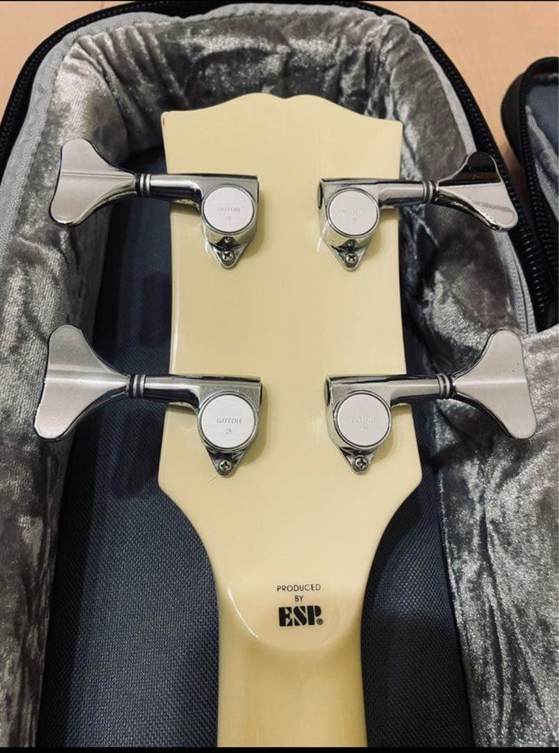 ケ*プ様 EDWARDS ESP SG エドワーズ LUNASEA Jモデル　ベ