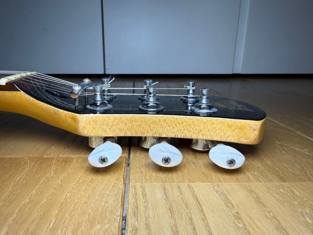 Pignose ピグノーズ 楽器 アンプ内蔵ミニギター