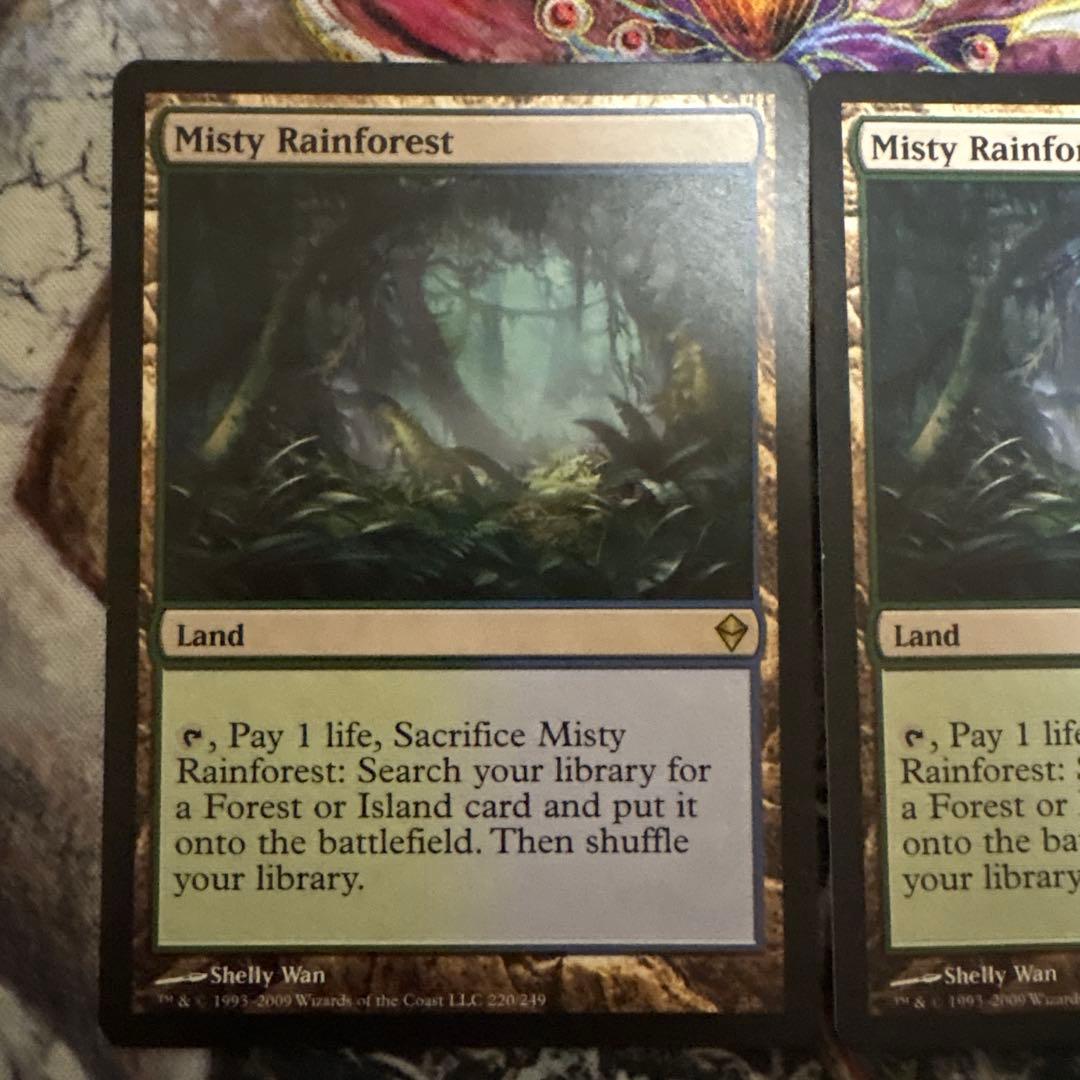 霧深い雨林 3枚セット