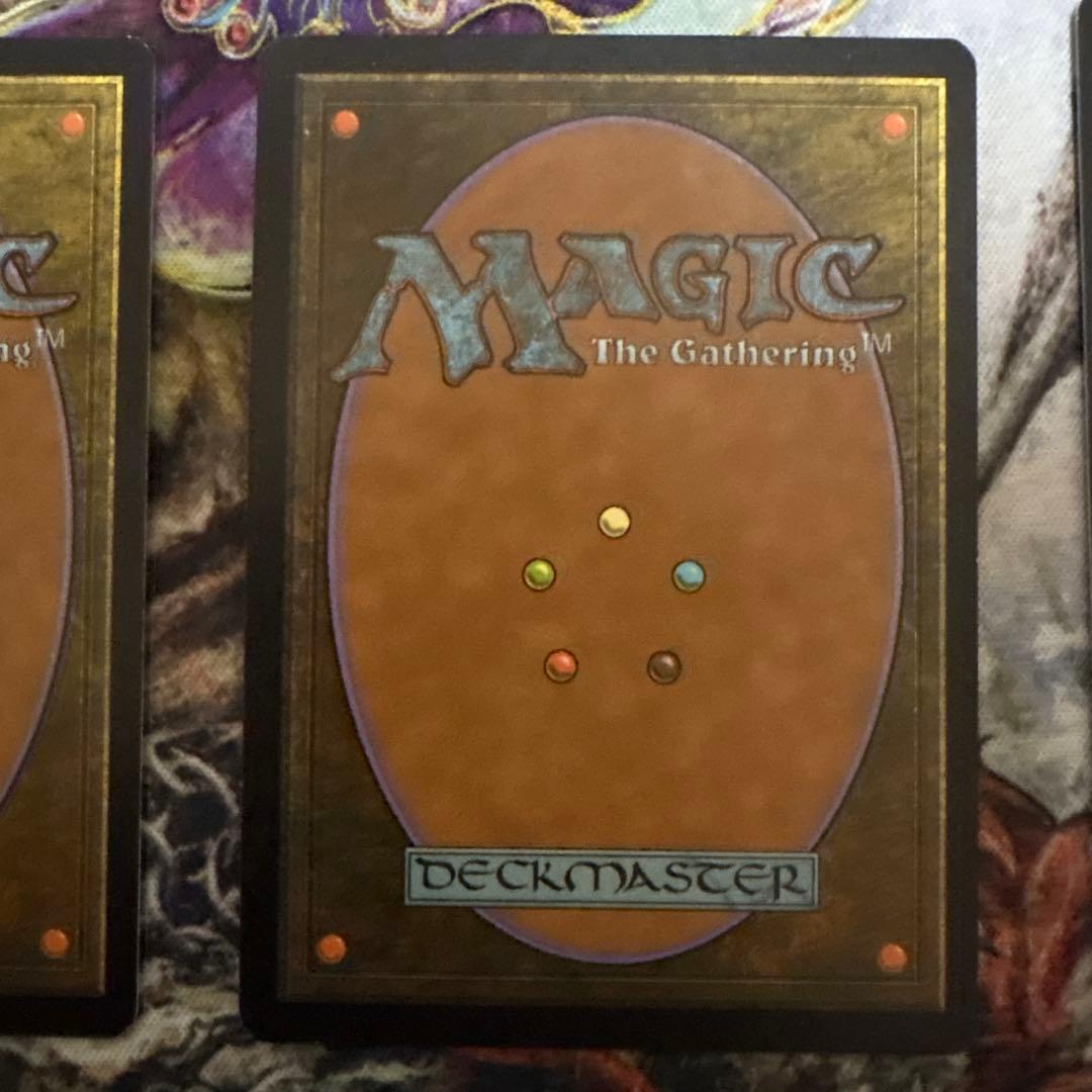 霧深い雨林 3枚セット