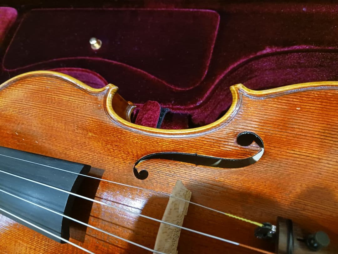 Ferenc Bela Vaci CDM-R 2006 バイオリン 中古