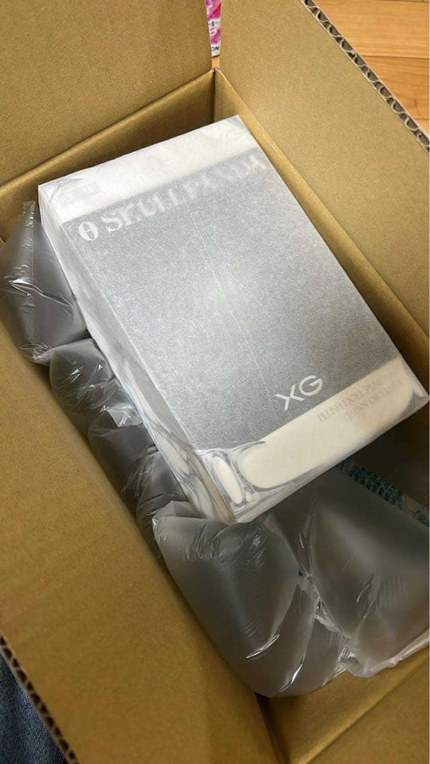 ぬいぐるみ POP MART SKULLPANDA XG