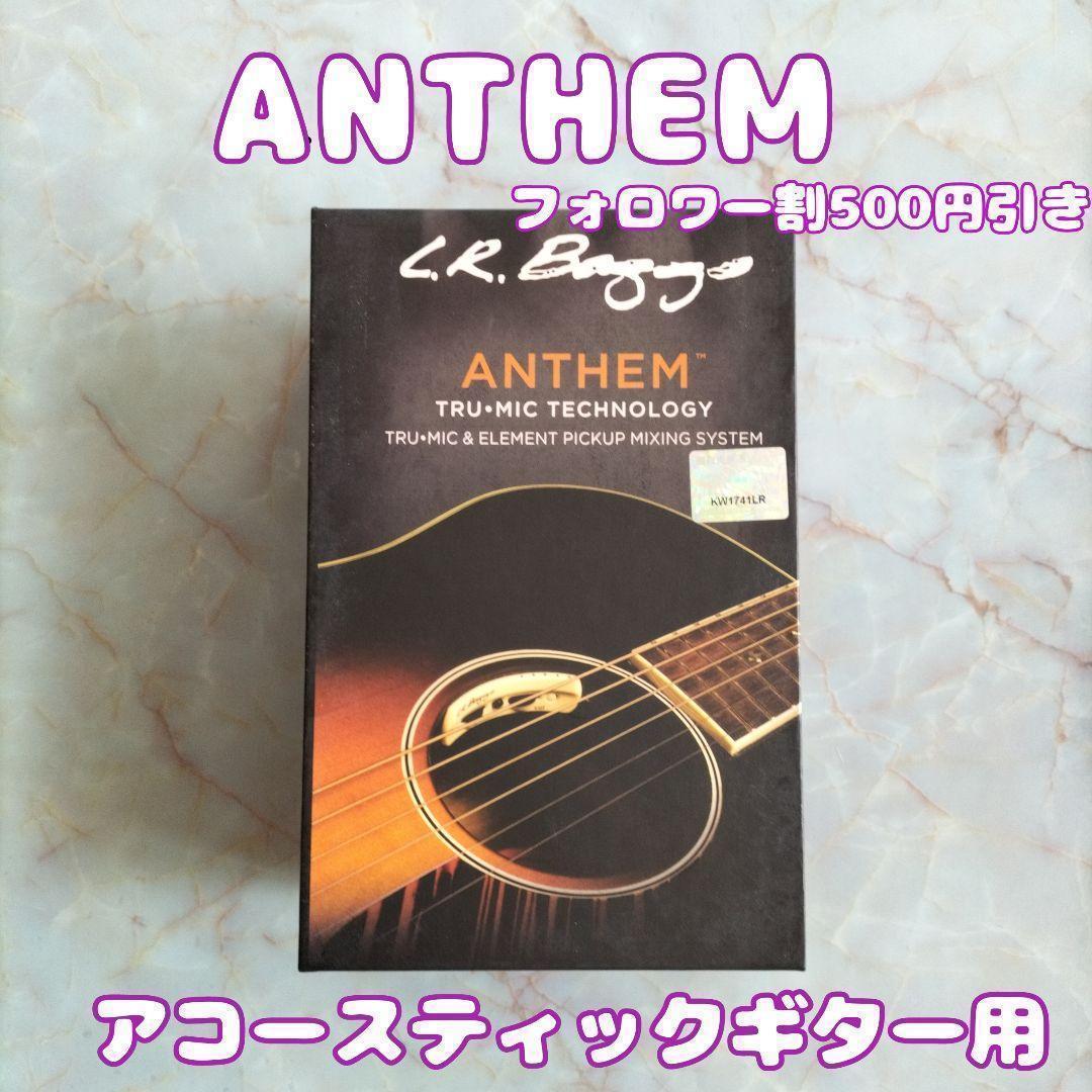 L,R Baggs Anthen　ギター