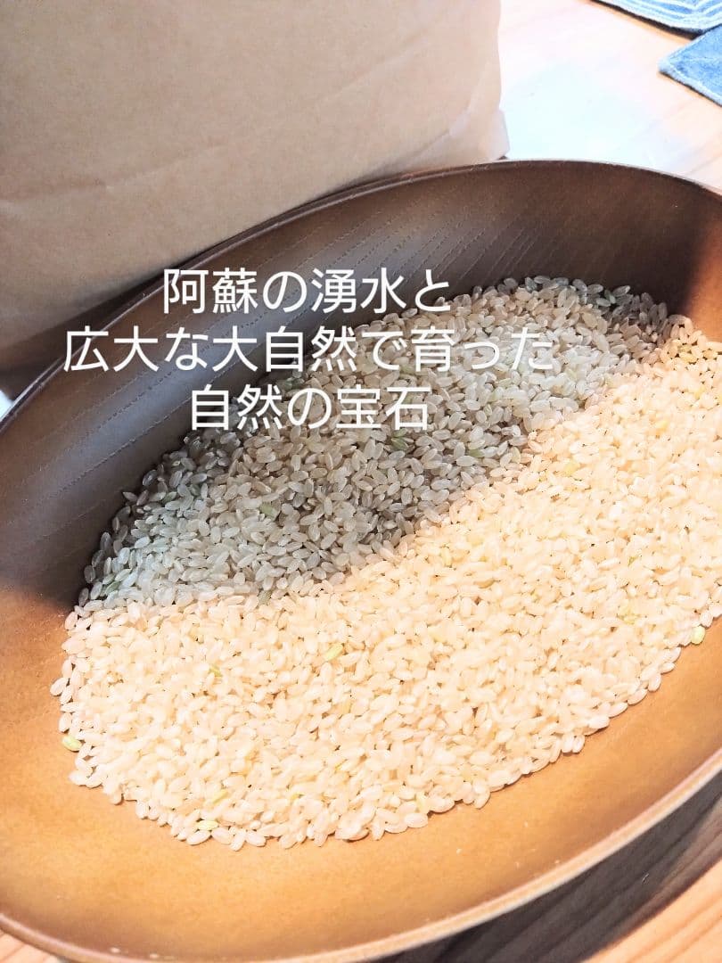 令和7年 自然栽培米 イセヒカリ 10kg 玄米