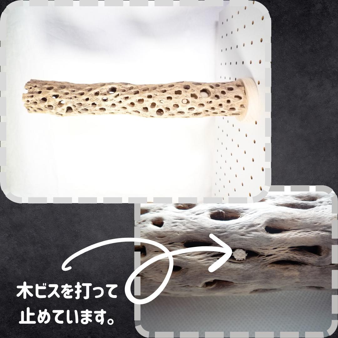 鳥用品　止まり木　カクタス　スケルトン　パーチ　特大No.217