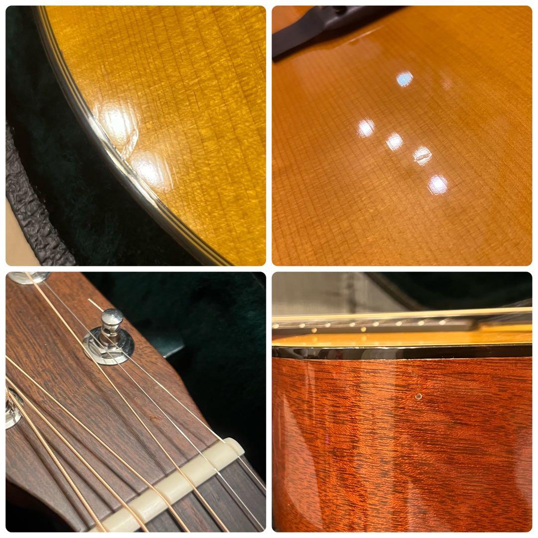 【希少モデル】Martin D-16 Adirondack top カルロス搭載