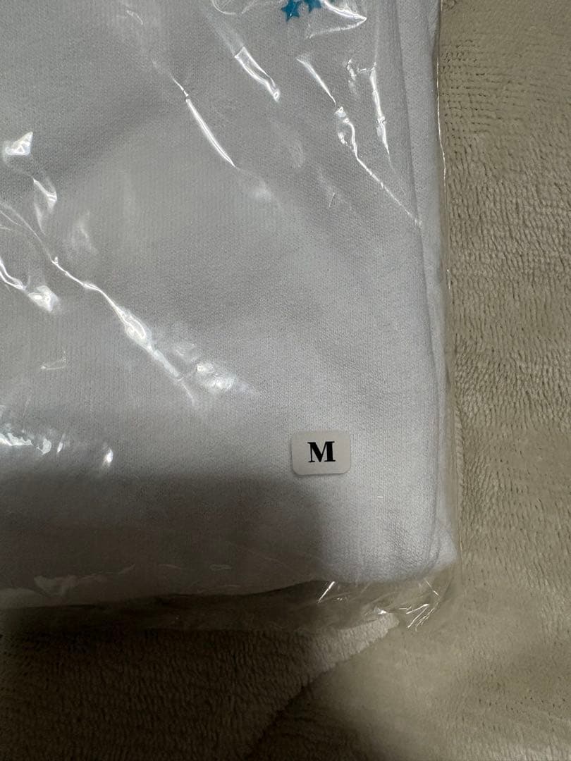 BUMP OF CHICKEN パーカー　VERDY　Mサイズ