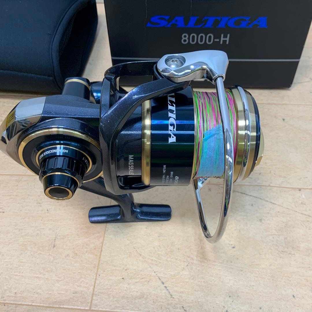 ダイワ　20SALTIGA（ソルティガ）　8000-H