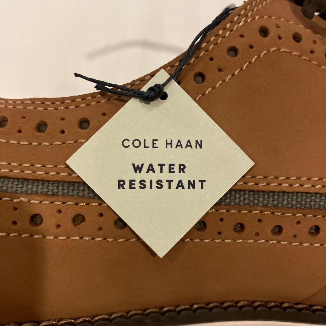 Cole Haan ゴルフシューズ