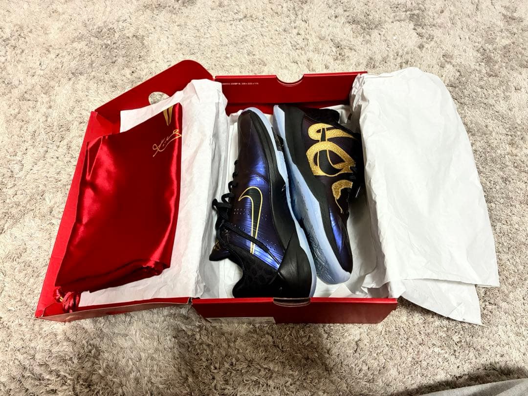 コービー5プロトロ