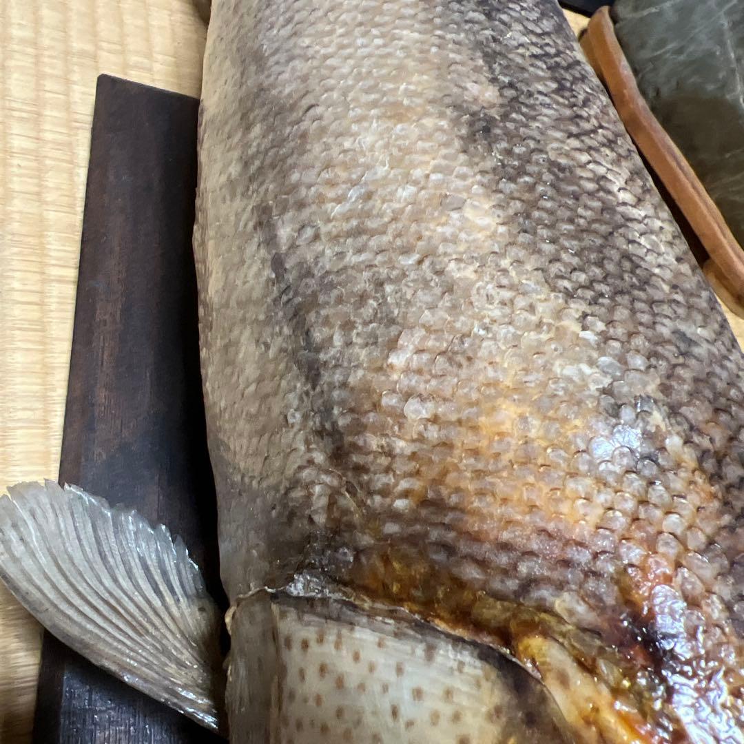 幻の魚 大型 94cm イトウ 剥製 標本