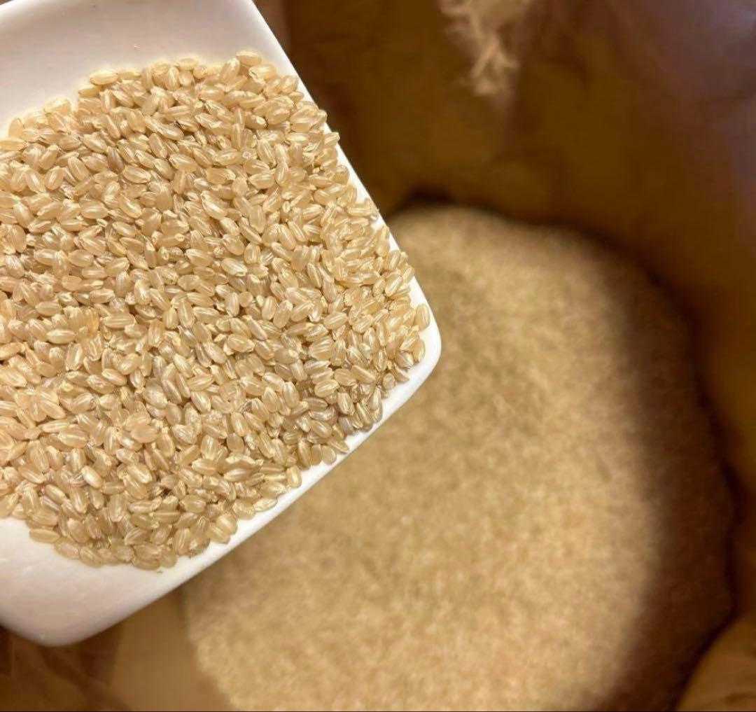 福島県産玄米コシヒカリ 30Kg 農家直送　令和6年度