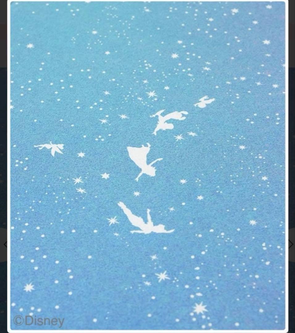 【新品】LAVA ラグ　ピーターパン　限定品