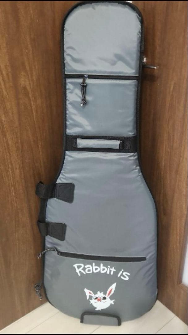 Rabbit is USA-2 Korina 青　P-90+Humbucker