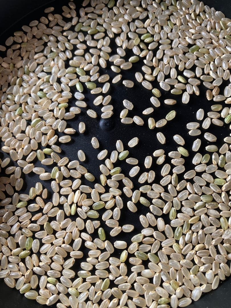 令和7年　つきあかり　上白に精米