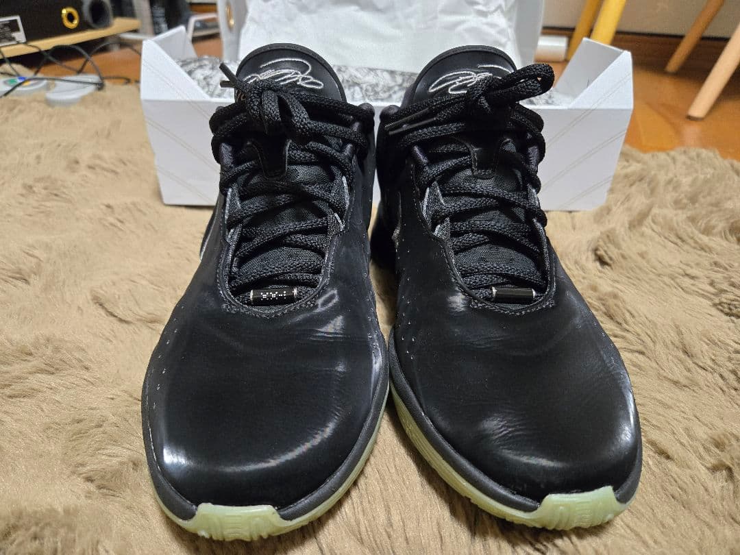 NIKE　レブロン21 EP Tahitian 27.0 LEBRON