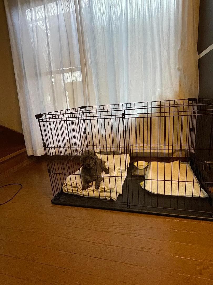 アイリスオーヤマ 犬 サークル システムサークルトレー付き STS-4_corg