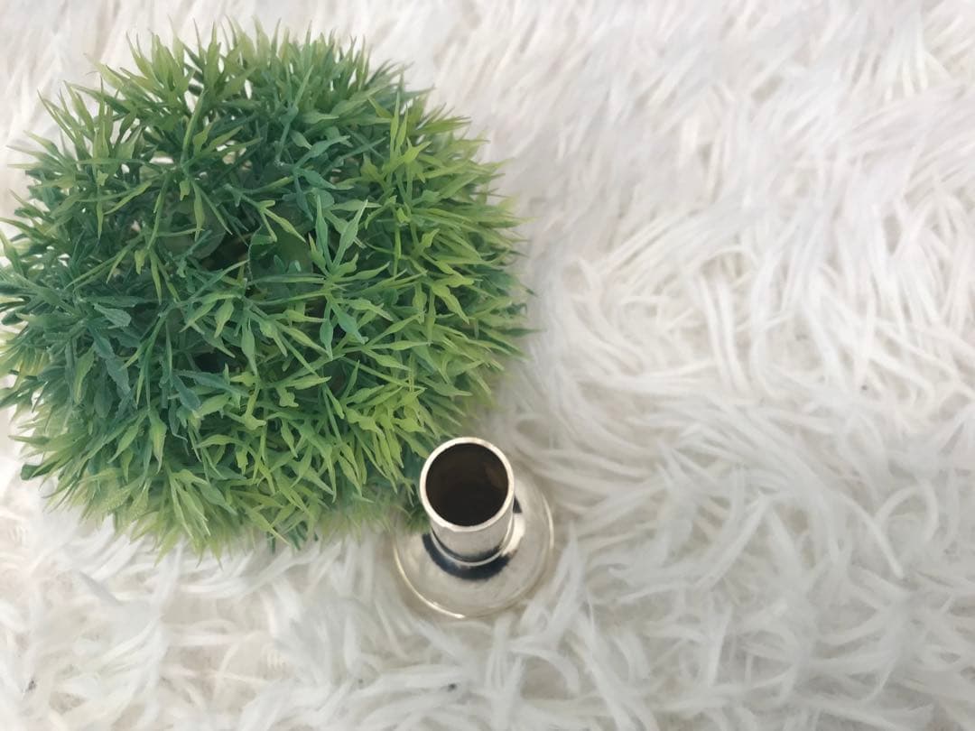 ⭐️グレイゴ Griego CS5 トロンボーン マウスピース 太管 クラシック