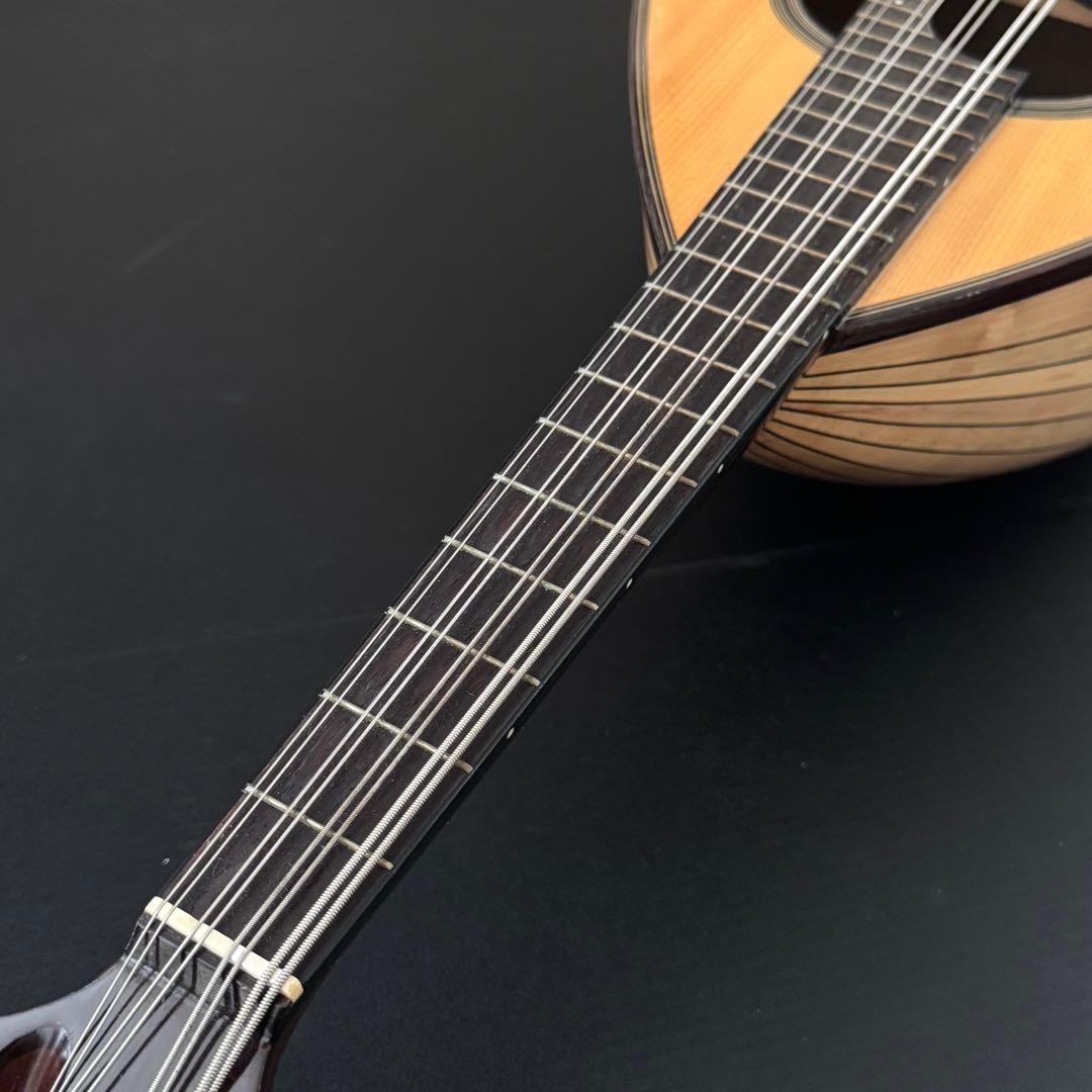 SUZUKI MD-4 マンドラ ハードケース付き