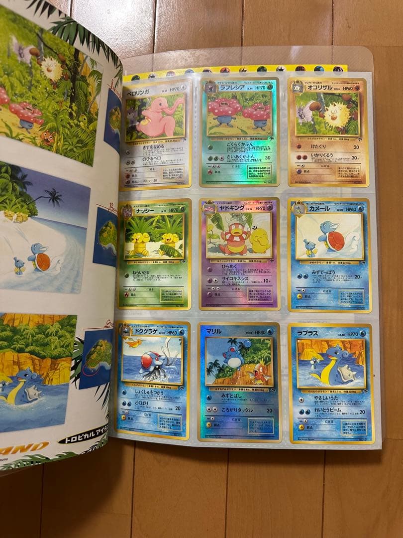 ポケモンカード　トロピカルアイランド　レインボーアイランド　2点セット