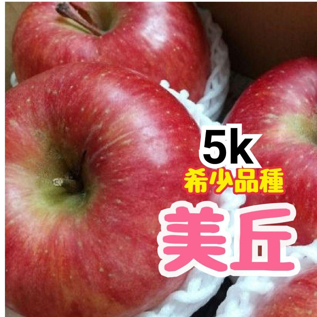 美丘10k 希少　じぃじの美味しい林檎