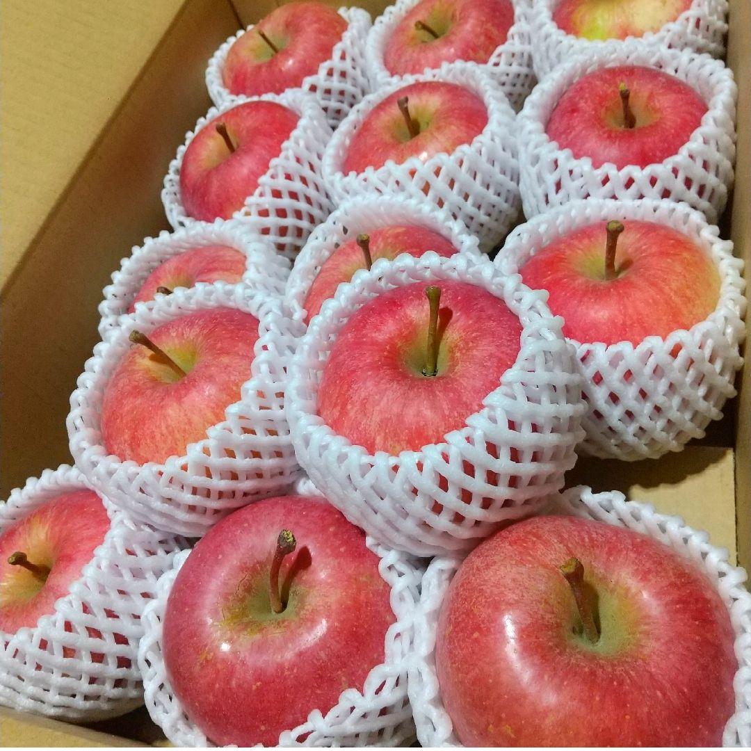 美丘10k 希少　じぃじの美味しい林檎