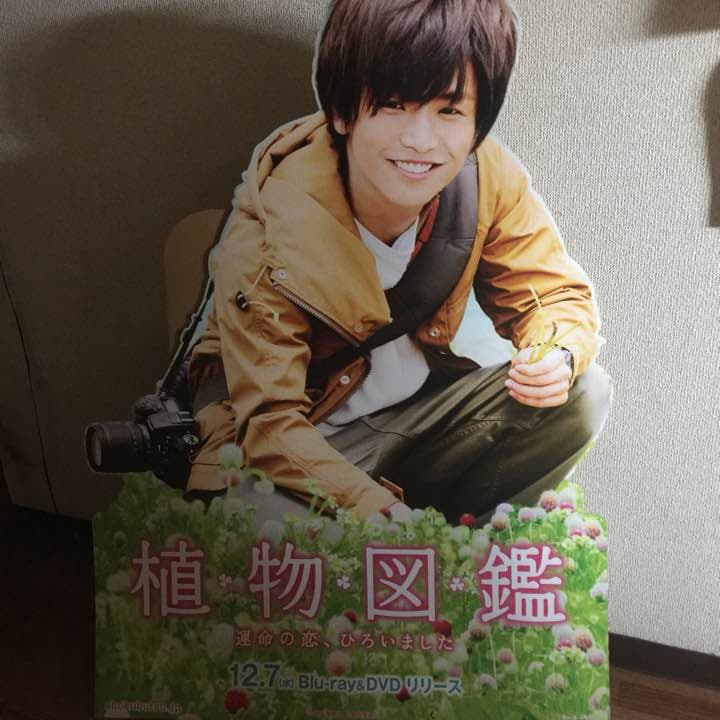 植物図鑑 岩田剛典 等身大パネル