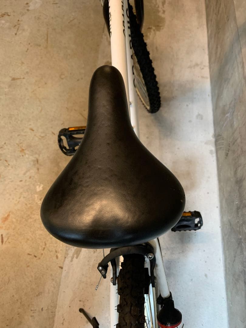 【滋賀引取限定】GRAPHIS 24インチ　ジュニア用　自転車 クロスバイク