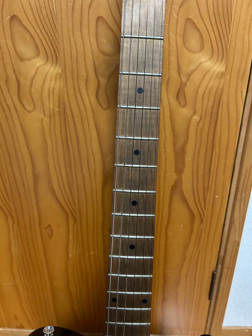 Bacchus テレキャスターTACTICS−ASH /RSM BOSS OD3