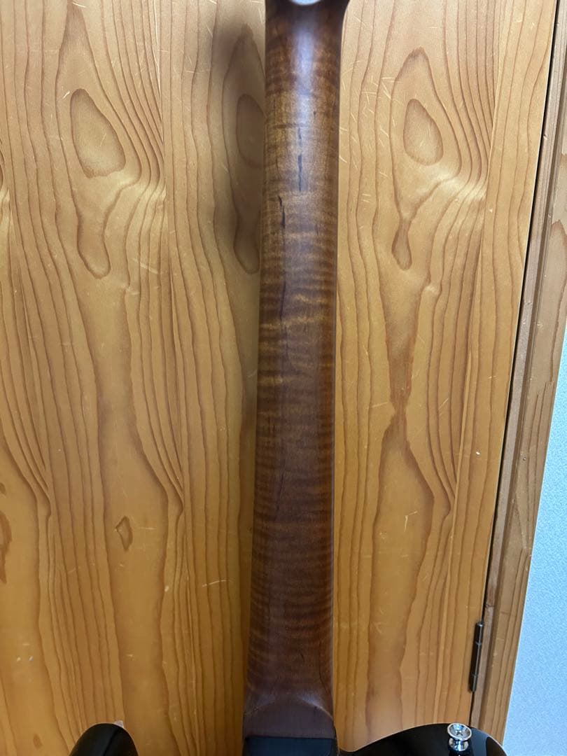 Bacchus テレキャスターTACTICS−ASH /RSM BOSS OD3