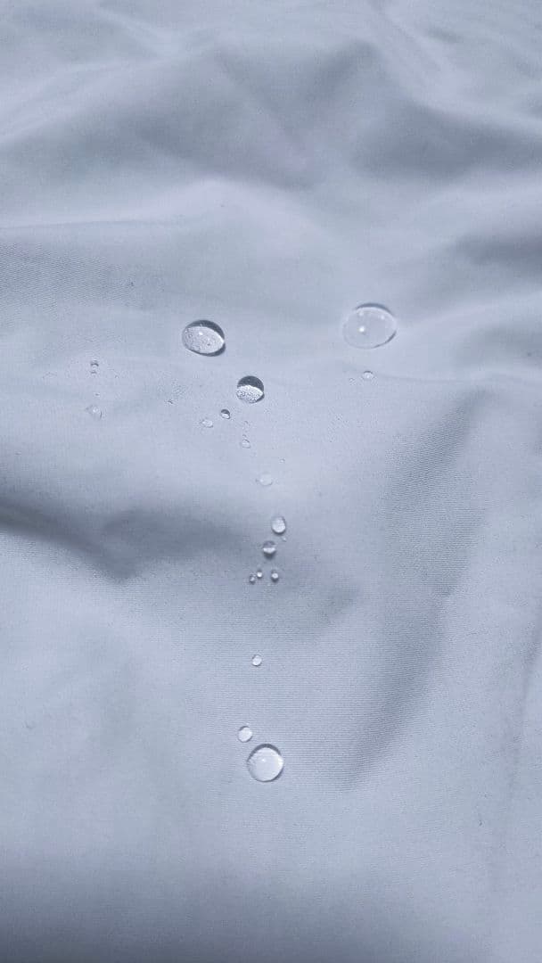 【ak BURTON】ビブパンツ スノーボードウェア ゴアテックス