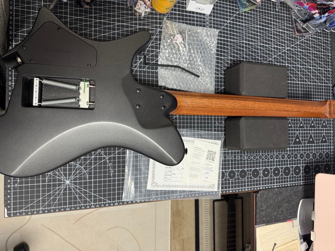 ギター strandberg Salen NX 6 Tremolo Plini
