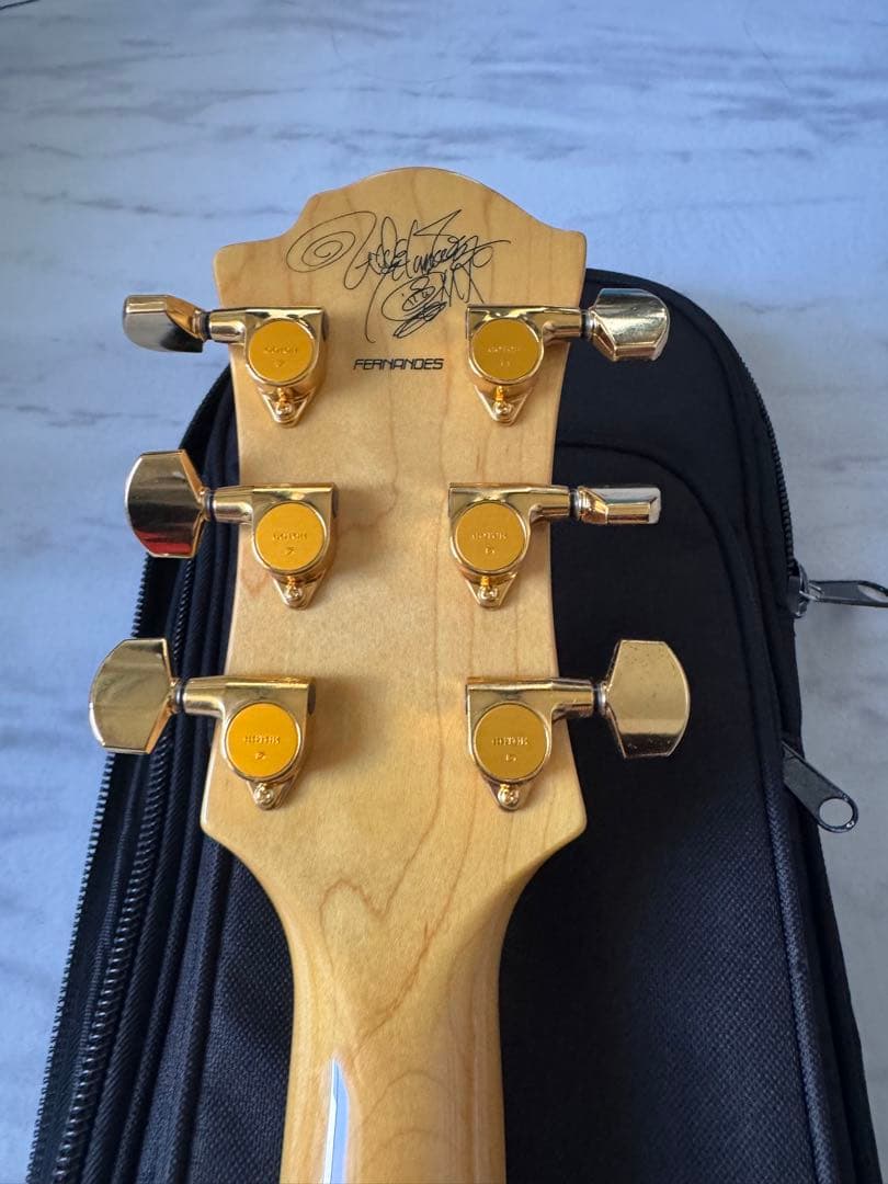 MG-145X サイケ hide モデルギター