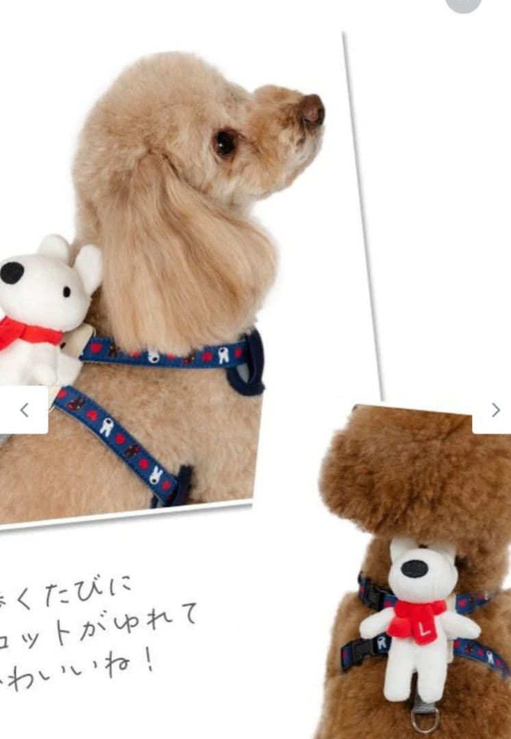 ペットパラダイス☆リサのマスコット付き❣️とっても可愛いハーネス＆リード☆3S